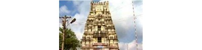 48. திருப்பாடகம் (பாண்டவ தூதர் கோயில்)
